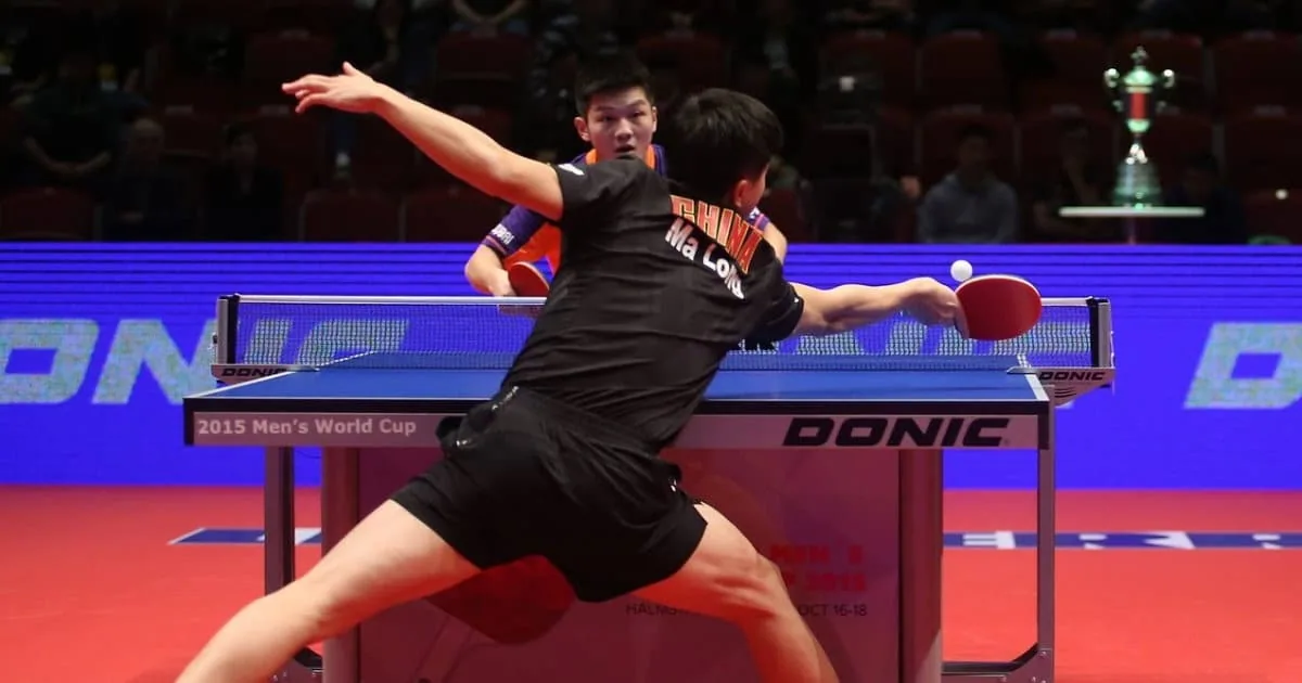 bois pour raquette de ping-pong