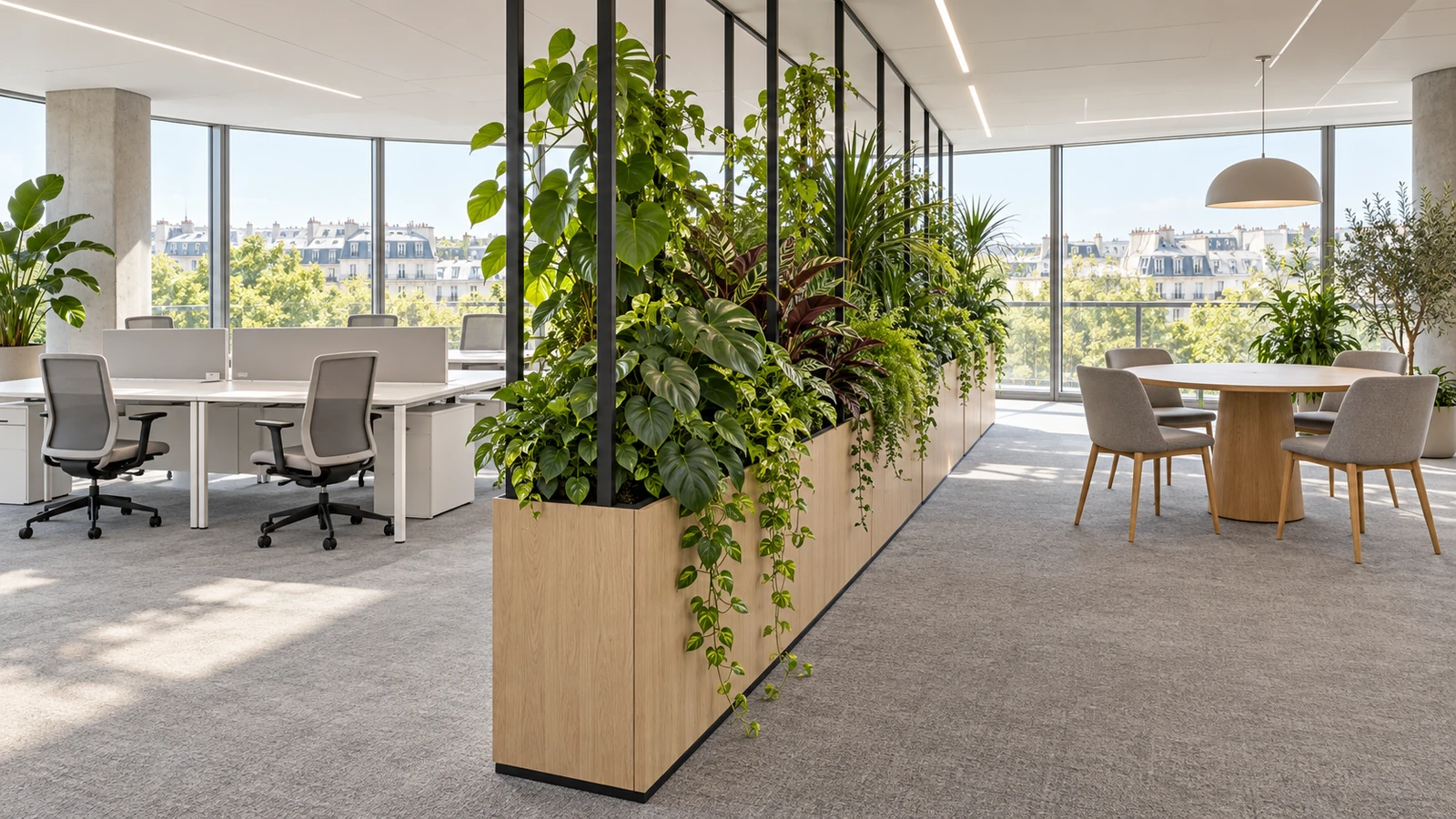 open space séparé en deux zones par une cloison végétale