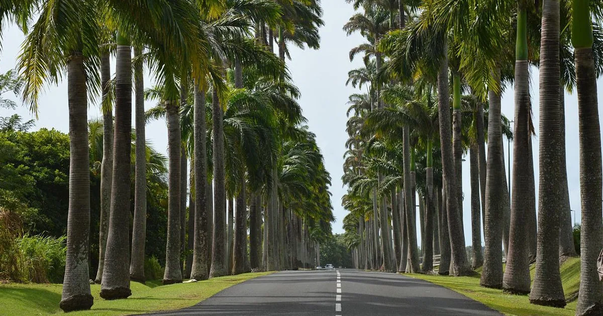 preparer son voyage en guadeloupe