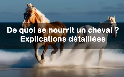 Un chat d'intérieur a-t-il besoin d'être vermifugé ?