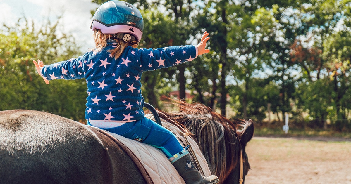 Quels compléments alimentaire donner à son cheval ?