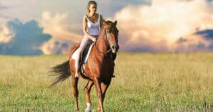 comment entretenir un cheval