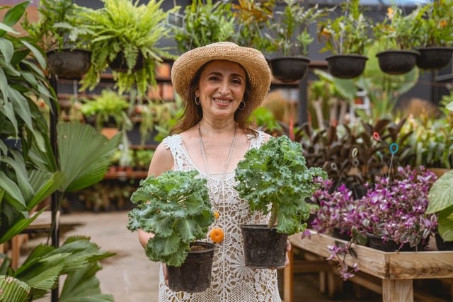 faire jardin a la verticale