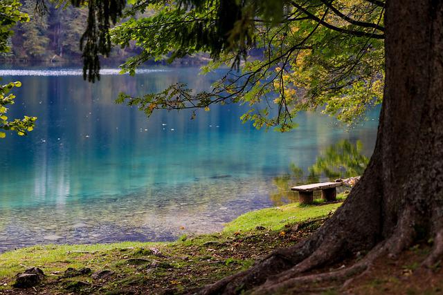 Top 5 des parcs aquatiques en France