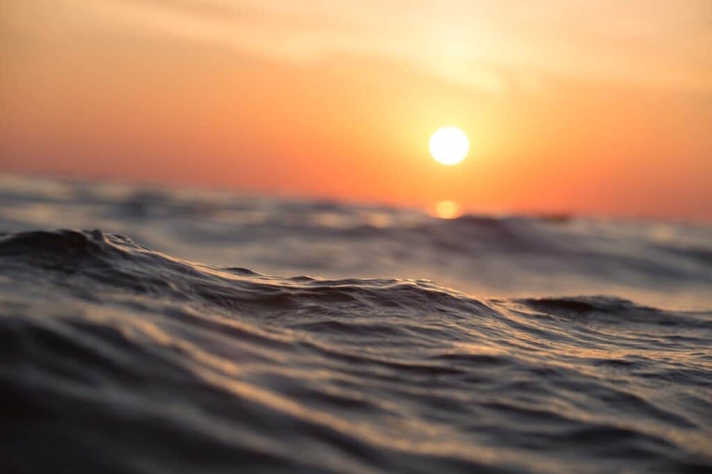 Que faire de l'eau de piscine ?